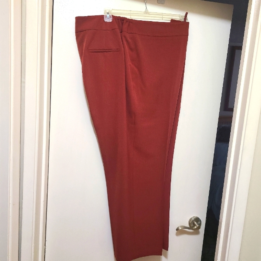 Trouser Pants